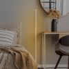 Elegant Black Floor Lamp, 153 cm Height | Metal Body, LED 36W