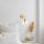 Elegant Gold Wall Lamp, Metal & Glass, 15x21x27 cm