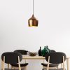 Elegant Copper Chandelier, Adjustable Height, 20x20x35 cm