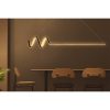 Adjustable Black Chandelier, LED Yellow Light, 120x20cm