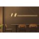 Adjustable Black Chandelier, LED Yellow Light, 120x20cm