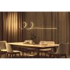Adjustable Black Chandelier, LED Yellow Light, 120x20cm