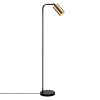 Modern Floor Lamp, Metal Body, Black & Vintage, 120 cm