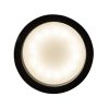 Rábalux , 73031 , Senobia , Ceiling lights , black , IP20 , GU10