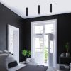 Rábalux , 73031 , Senobia , Ceiling lights , black , IP20 , GU10