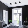Rábalux , 73032 , Senobia , Ceiling lights , black , IP20 , GU10