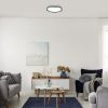 Rábalux , 71250 , Israh , Ceiling lights , grey , IP20 , 4000