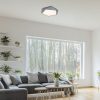 Rábalux , 71251 , Raffa , Ceiling lights , grey , IP20 , 3000