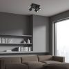 Rábalux , 73026 , Rogelio , Ceiling lights , matte black , IP20 , GU10