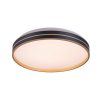Rábalux , 71141 , Gandor , Ceiling lights , black , IP20 , "3000