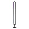 Rábalux , 74051 , Barto , Floor lamps , matte black , IP20