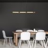 Rábalux , 72045 , Remiel , Pendants , matte black , IP20 , 3000