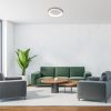 Rábalux , 71055 , Iliana , Ceiling lights , silver , IP20 , 3000