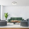 Rábalux , 71054 , Iliana , Ceiling lights , silver , IP20 , 3000