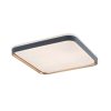 Rábalux , 71029 , Liatris , Ceiling lights , grey , IP20 , 3000