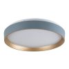 Rábalux , 71185 , Liatris2 , Ceiling lights , grey , IP20 , 3000