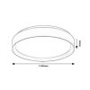 Rábalux , 71185 , Liatris2 , Ceiling lights , grey , IP20 , 3000
