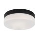 Rábalux , 75025 , Gaelo , Bathroom lights , black , IP44 , 4000
