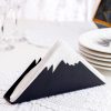 Elegant Black Metal Napkin Holder | 21 x 4 x 8 cm, 100% Metal