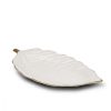 Elegant 30 cm Ceramic Food Presentation Plate, Cream