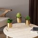 Elegant Gold Decorative Metal Accessory, 40x20x10 cm