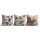 3-Piece Cushion Set, 43x43 cm, Washable, Silicone Fill