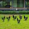 Decorative Metal Chicken Set (6 Pieces), Black | 100% Metal, 1.2mm Thick | Perfect for Garden Decor