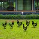 Decorative Metal Chicken Set (6 Pieces), Black | 100% Metal, 1.2mm Thick | Perfect for Garden Decor
