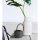 Stainless Steel Watering Can, 0.9L, Black | Durable & BPA Free