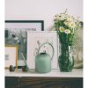 Stainless Steel Watering Can, 1500ml, Green, 13x13x14cm