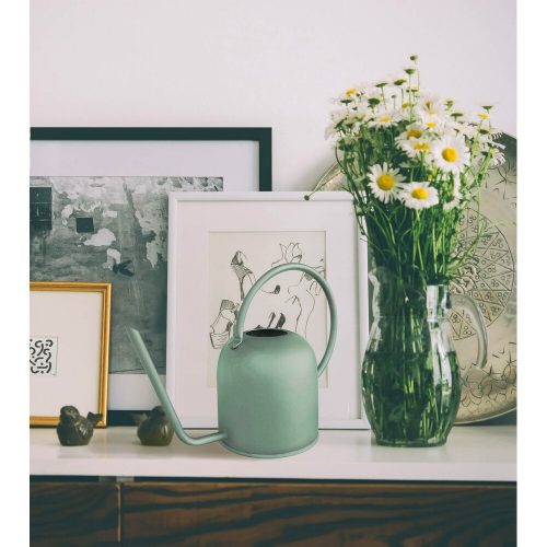 Stainless Steel Watering Can, 1500ml, Green, 13x13x14cm