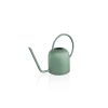 Stainless Steel Watering Can, 1500ml, Green, 13x13x14cm