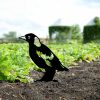Elegant Black Metal Decorative Object, 37 x 23 cm | 100% Metal, No Assembly Required