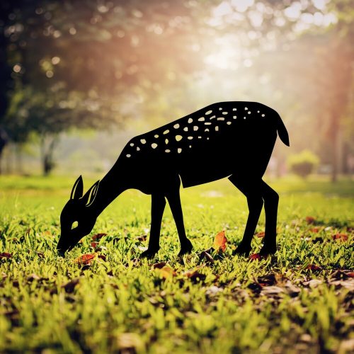 Elegant Black Metal Decorative Object, 64 x 72 cm | 100% Metal, No Assembly Required