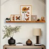 Solid Wood Decorative Wall Shelf, 60 cm, 2 cm Thick