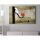 Banksy Decorative Canvas Painting, 70x100 cm, Framed