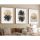 Elegant 3-Piece Framed MDF Painting Set, 50x70 cm