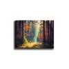 Elegant Canvas Painting, 50x70 cm, 100% Wood Frame