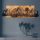 Elegant Wooden Wall Accessory, Black & Walnut, 75.5 x 24.5 cm