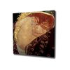 Gustav Klimt Decorative Canvas Painting, 45x45 cm, Framed