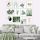 12-Piece MDF Decorative Painting Set, 20x15 cm | 100% MDF, 3 mm Thick | Stylish Art for Home Decor