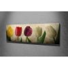 Elegant Canvas Painting, 30 x 80 cm, 100% Wood Frame