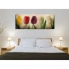Elegant Canvas Painting, 30 x 80 cm, 100% Wood Frame