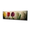 Elegant Canvas Painting, 30 x 80 cm, 100% Wood Frame