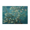 Vincent van Gogh Canvas Art, 50x70 cm, Wooden Frame
