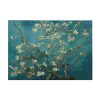 Vincent van Gogh Canvas Art, 70x100 cm, Wooden Frame