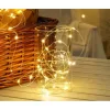 Modee Christmas LED String Copper Battery C1010 (50LED/5m/10cm) warm