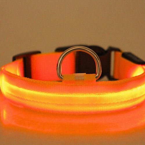 LED dog collar, adjustable, battery-operated, waterproof, 35cm, S, orange