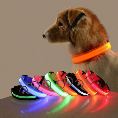LED dog collar, adjustable, battery-operated, waterproof, 35cm, S, orange