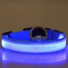 LED dog collar, adjustable, battery-operated, waterproof, 30cm, S, blue